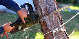 Best Lawn Watering Services  in Pocasset, MA